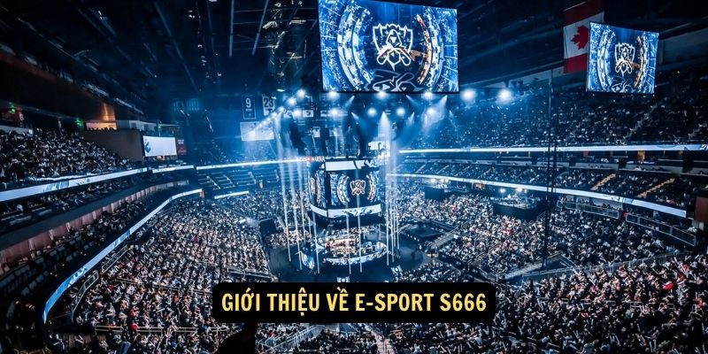 Giới thiệu về E-SPORT S666