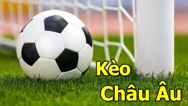 Chiến thuật cá cược kèo châu Âu hiệu quả