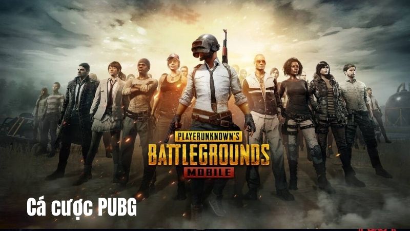 Cách lựa chọn nhà cái uy tín để cá cược PUBG