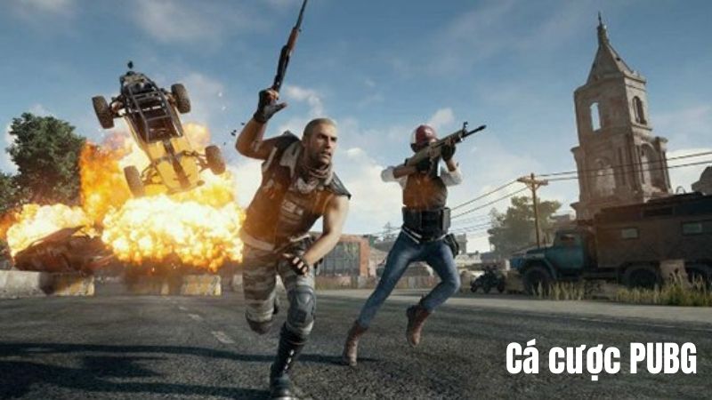 Phân tích kỹ thuật và chiến lược cá cược PUBG hiệu quả